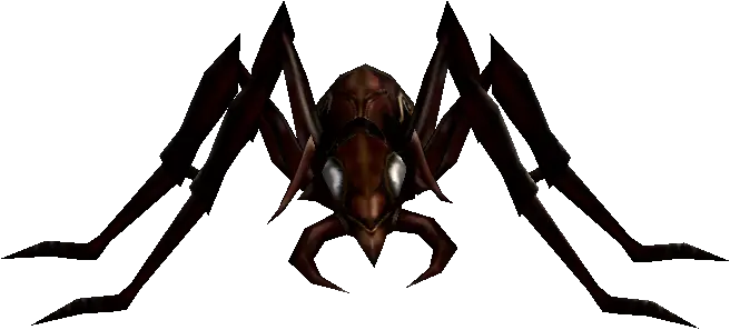 Gray Ant