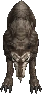 Elder Wolf