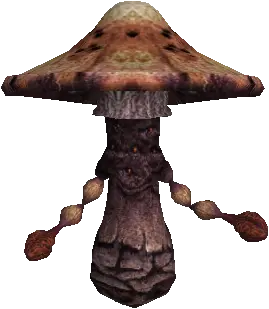 Spore Fungus