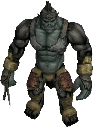 Timak Orc