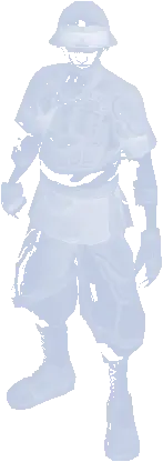 Forest of Mirrors Ghost