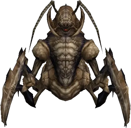 Queen Ant